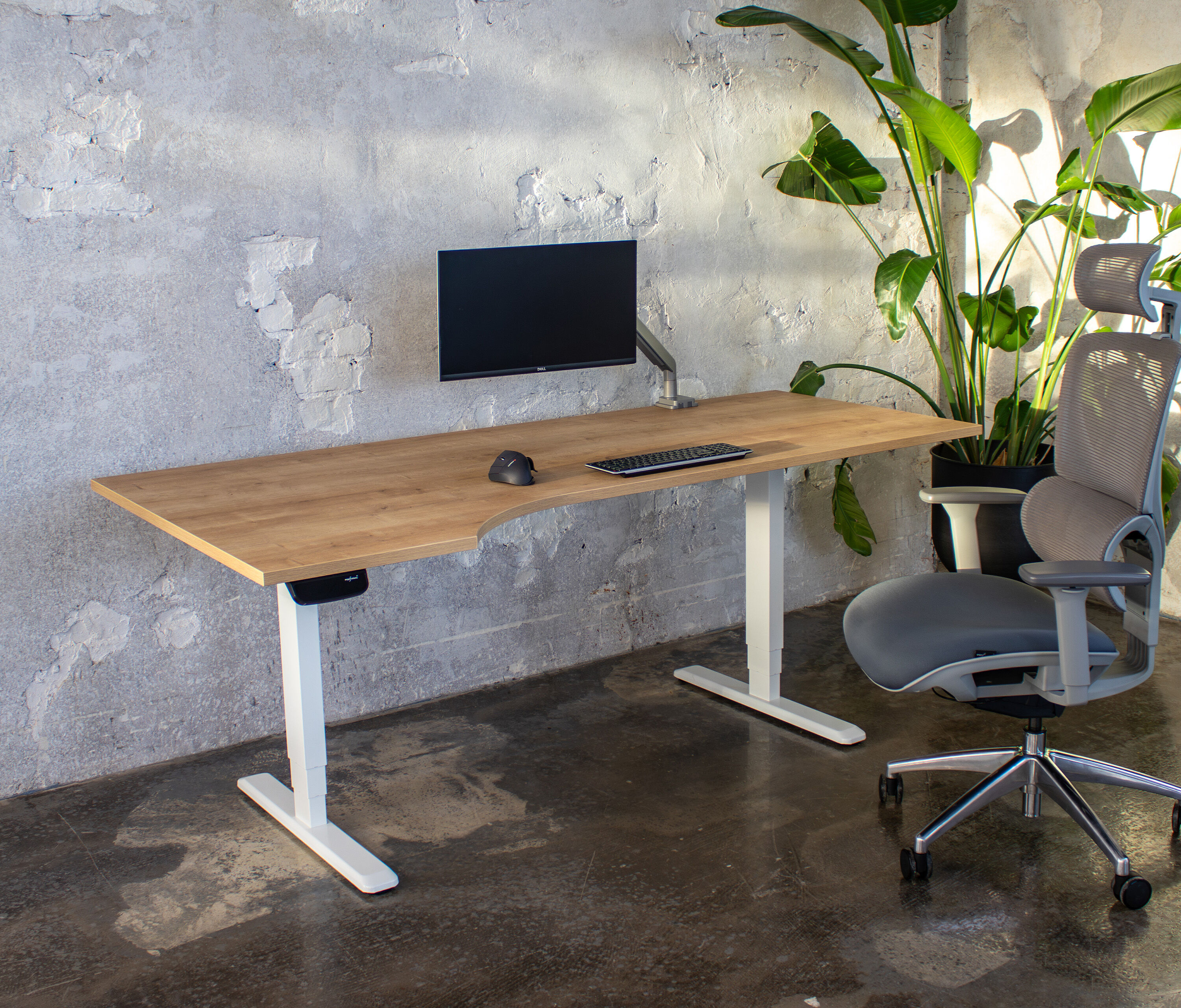 PRIMUS Freiformschreibtisch, Gestell Schwarz, Tischplatte 1600 x 800/1000 x 25 mm Lichtgrau, Ausführung Rechts