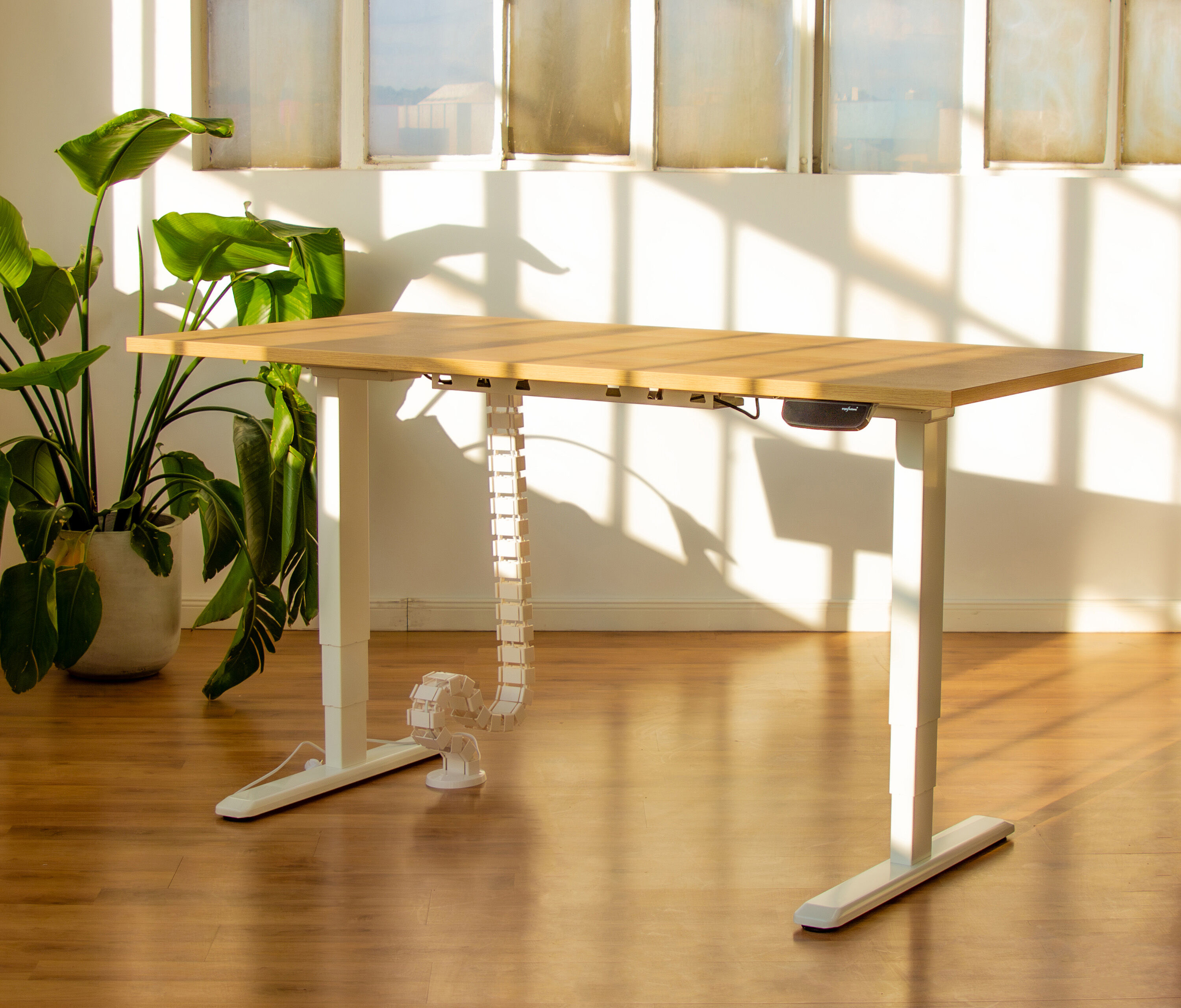 PRIMUS Schreibtisch XL Weiß 200x90 Nussbaum