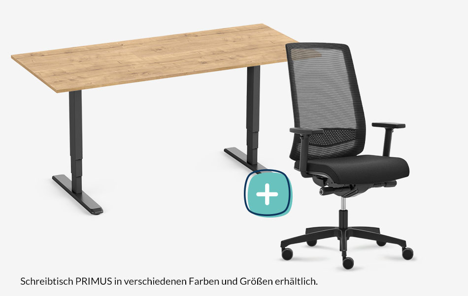 PRIMUS + Stuhl