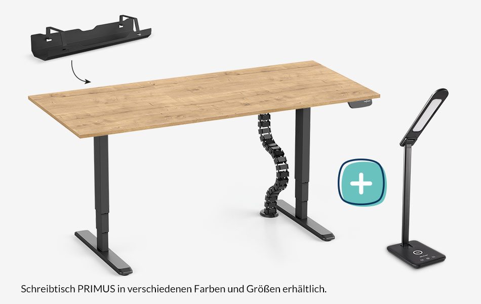 PRIMUS + Kabelwanne, Kabelschlange & Schreibtischleuchte