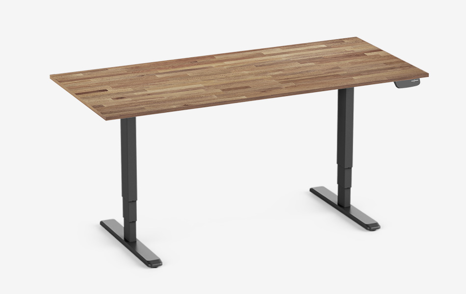 PRIMUS Schreibtisch mit Echtholzplatte